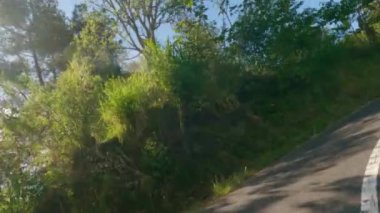 Güneşli bir günde yeşil tropikal ağaçlar ve büyük bir köknar ile güzel, dolambaçlı asfalt yolda araba süren bir insan sürücüsü. Dağlara giden resim gibi yaz yolu, tropikal iklim ve beyaz bulutlu mavi gökyüzü..