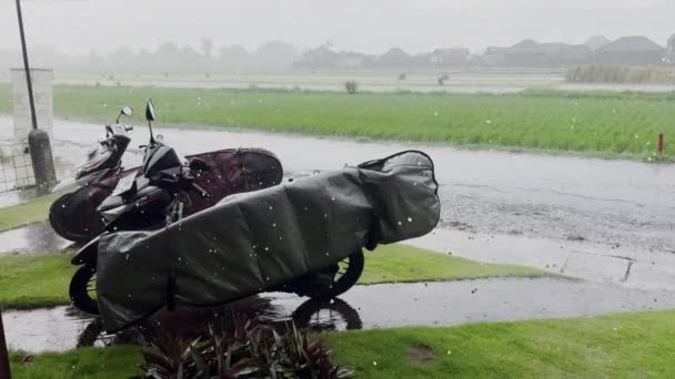 在一条柏油路和一片绿色稻田的背景下，在一家咖啡馆的倾盆大雨中，站着两辆装有冲浪板和盖的摩托车。巴厘。印度尼西亚2021 — 图库视频影像