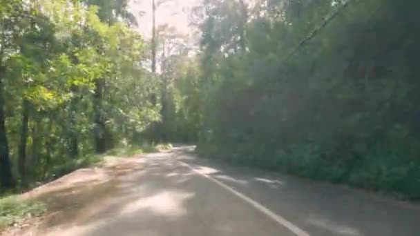 Güneşli bir günde, büyük ağaçlar arasında çok güzel bir dağ asfaltlı yolda araba süren bir şoför. Güneş ışığının ağaçların taçlarında parladığı olağanüstü güzel bir yol.. — Stok video