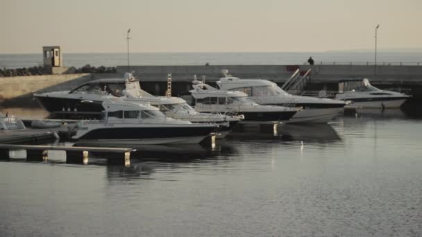 Six modern yachts, white with blue stripes, are moored at the yacht club in the beautiful golden sunset light. Beautiful boats are parked in the bay in the summer and swing on small waves. — Stok video