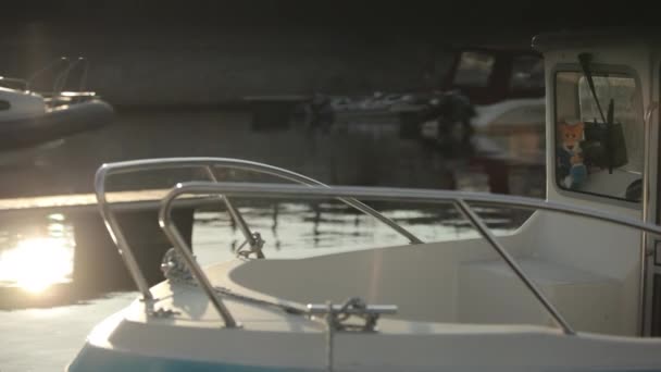 Beautiful captains cabin of boat and toy in form of captains tiger lying behind glass, against of beautiful sun glare on water and highlights. Calm relaxing moment in bay at the boat parking lot. — Stockvideo