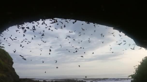 Una vista desde el interior de una enorme cueva oscura en la que una gran cantidad de murciélagos vuelan, contra el cielo azul con nubes blancas. La observación de la vida de los murciélagos, los momentos interesantes de su vida de los animales salvajes. 120Fps. Movimiento lento — Vídeo de stock