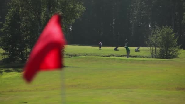 Em um belo campo de golfe verde, um golfista bate uma bola com um pau, uma bandeira vermelha flutters no vento em primeiro plano e depois de bater, o foco muda para ele. Momento de jogar golfe em um belo campo de golfe — Vídeo de Stock
