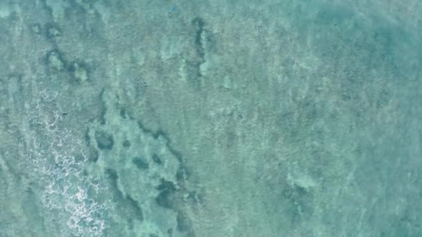 Vista aérea de plano superior del agua cristalina del océano, a través de la cual los arrecifes oscuros y toda la fauna submarina. Calma, estado de paz del mar con una pequeña ola que pasa sobre la superficie del agua y cambia su forma. — Vídeo de stock