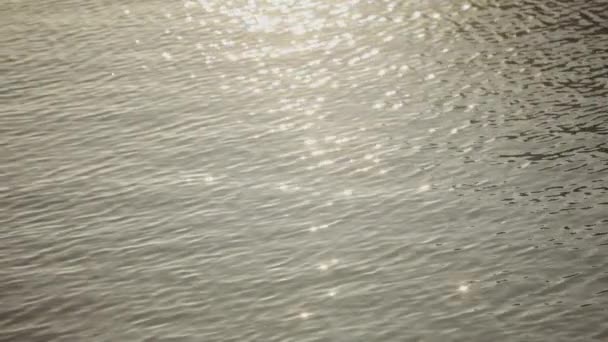 Un primer plano de la maravillosa luz dorada del sol en el agua con pequeñas olas que pasan al foco de un hermoso bokeh y luego al foco. Maravilloso estado de la naturaleza, los rayos del sol y los reflejos durante el día. — Vídeo de stock