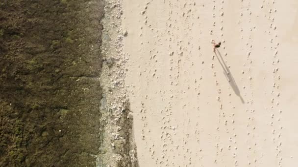 Drone följer ovanför en flicka i baddräkt promenader längs en vit sandstrand nära kusten och stenrev som skakar på grund av lågvatten. En flicka njuter av en promenad på stranden en solig dag. Högsta skott. — Stockvideo
