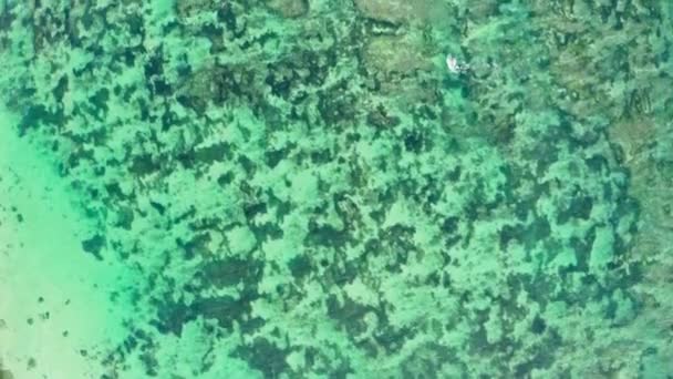 Vista aerea volante sopra l'acqua cristallina dell'oceano attraverso il quale si possono vedere la barriera corallina oscura e tutta la fauna sottomarina. Drone riprese in alto trasparente acqua color smeraldo dell'oceano Indiano. — Video Stock