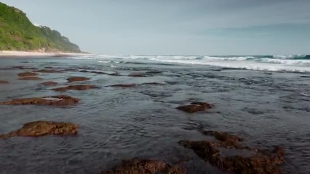 Dynamická atmosféra úzkého hnědého útesu pokrytého přílivem a odlivem. Detailní záběr korálových kamenů s řasami mizejícími pod vlnami s bílou pěnou. Dron záběry azurové vody na skalnaté pláži v tropech. — Stock video