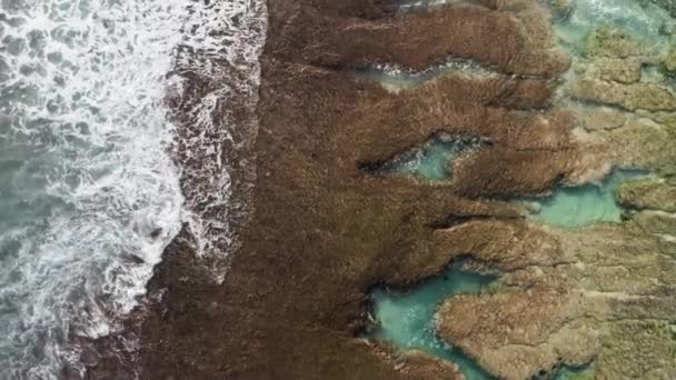 Dynamiska flygbilder av brunt rev med azurvatten täckt av vågor som kraschar in i vitt skumvatten. Kopparbilder av tidvattenssurfing som tvättar klippig havsstrand. Drönarskott av sten och vatten — Stockvideo