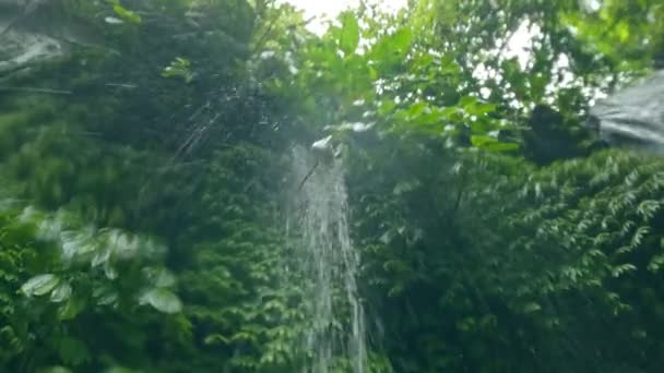 Schöner Blick von unten auf den Wasserfall. Tropisches Wasserfallwasser fällt von einem grünen Felsen mit Büschen und Bäumen herab. Strahlende Sonnenhunde, die über der malerischen Naturlandschaft glitzern und sich weich fokussieren. Pov. — Stockvideo