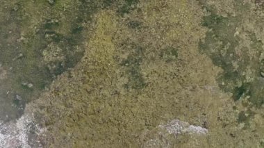 Sığ resif renklerine beyaz köpüklü suyla düşen hava aracının görüntüsü yeşil ve mavi, güzel doğal dokusu tropik cennetteki beyaz kum kumsalına doğru uçan..