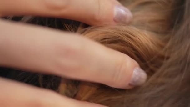 아름다운 분홍빛을 띤 아름다운 갈색 머리카락을 가진 소녀의 손이었습니다. 클로즈업, 사람 이 손가락으로 머리를 두드린다. 여인들 이손으로 애인들의 곱슬머리를 부드럽게 잡고 있다 — 비디오
