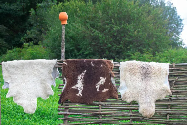 Dağ kültürü. Hayvan derilerini yüzerler..