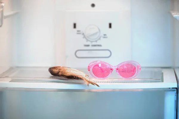 Yiyeceği olmayan boş bir buzdolabı. Sadece bir balık..