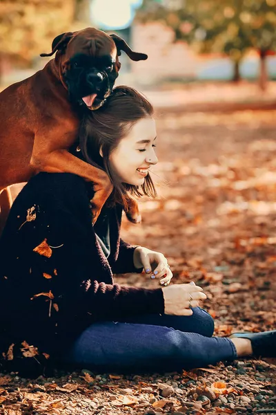 Cães de estimação, confiança e amor, jogos ativos — Fotografia de Stock