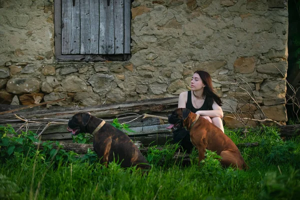 La vida fuera de la ciudad, chica con mascotas perros —  Fotos de Stock