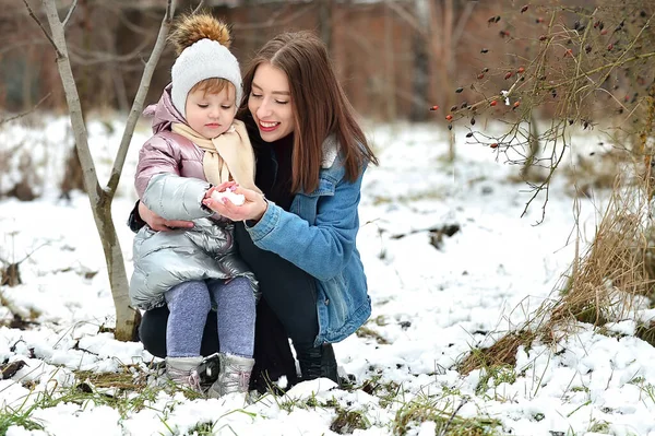 가족 이 함께 야외 활동을 즐기는 겨울철 — 스톡 사진