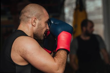 Spor salonunda sporcu boksörlerin eğitimi