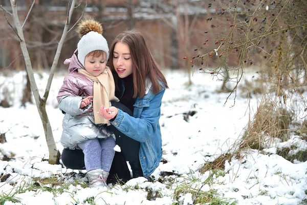 가족 이 함께 야외 활동을 즐기는 겨울철 — 스톡 사진