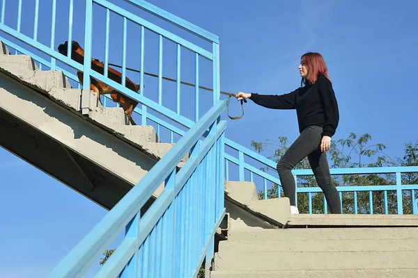 Menina jovem andando com seu cão de estimação — Fotografia de Stock