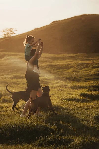Passeggiate attive in famiglia con cani — Foto Stock