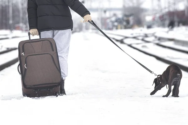 Trenin evcil hayvanlarla trenle gitmesini bekliyor.