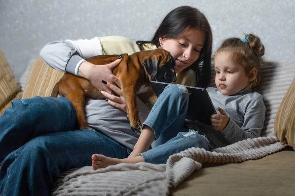 Aile ve arkadaşlarla uzak mesafeden evdeki internet iletişimi