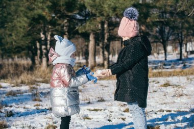 Karlı bir parkta kış yürüyüşüne çıkmış farklı yaşlarda iki kız kardeş.