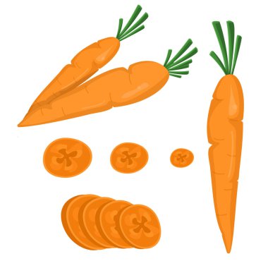 Carrot in flat style. Whole and sliced carrots.