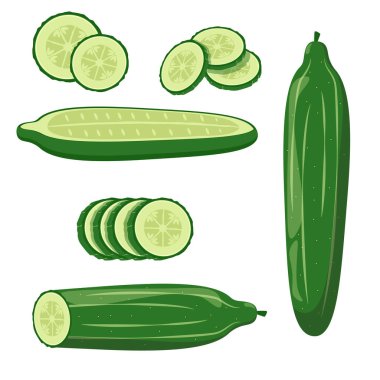Cucumber isolated on white background. Cucumber, whole and cut. A set of different ways to serve cucumbers.