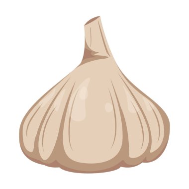 Garlic in flat style isolated on white background.