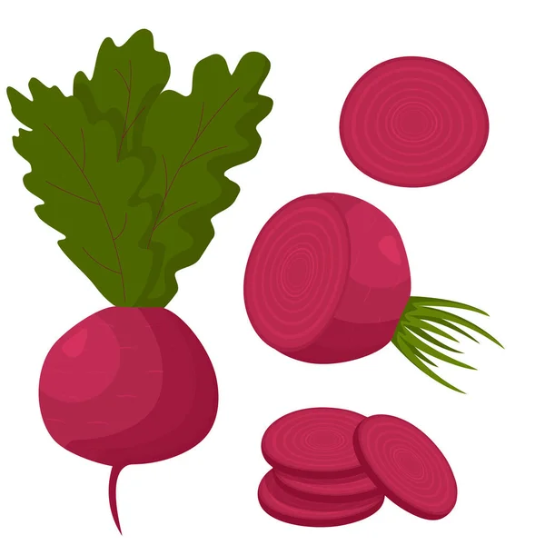 Beetroot Whole Cut Isolated White Background Flat Style — Stock Vector