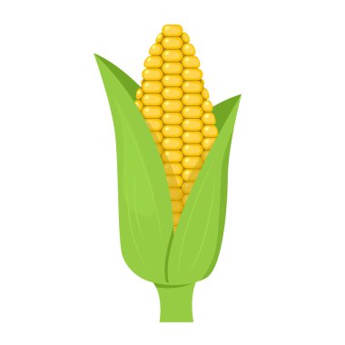 Corn isolated on white background, flat style.