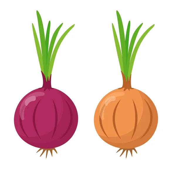 Red Onion Onion Isolated White Background Difference Red Onion Onion — Stockvector