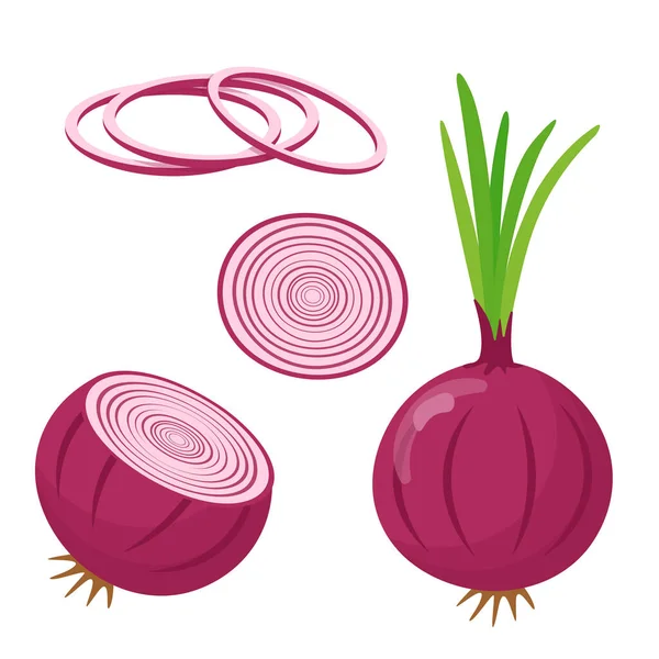 Red Onion Cut Whole Isolated White Background Flat Style — Stock Vector