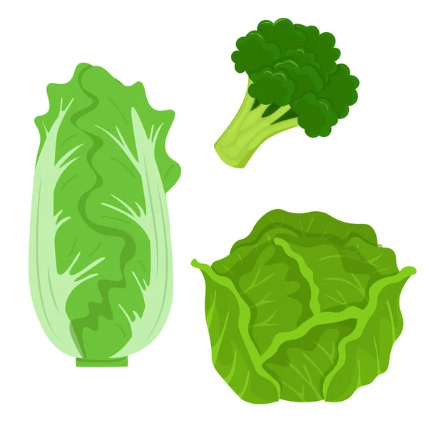 Chinese Cabbage White Cabbage Broccoli Isolated White Background Set Flat — Stock vektor