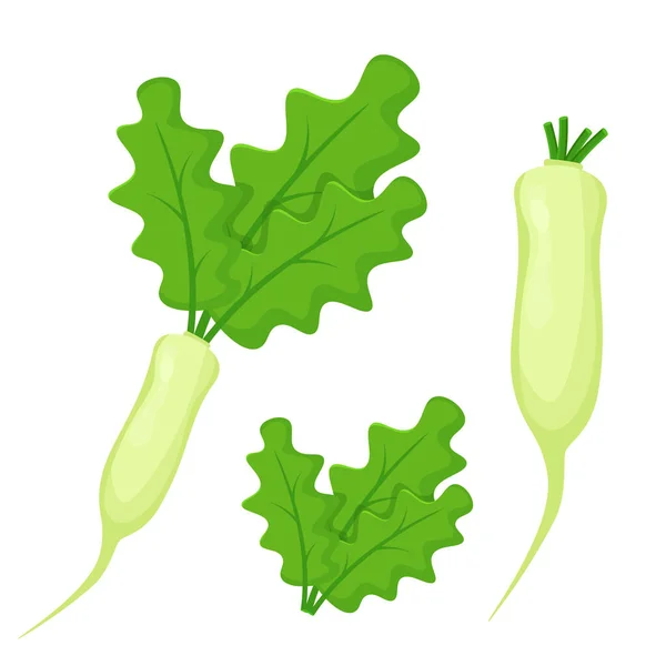 Daikon Set Isolated White Background Flat Style — Stockvector