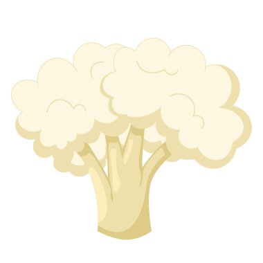 Karnabahar beyaz arka planda izole. Düz biçim.