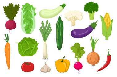 Large set of vegetables isolated on a white background. flat style.