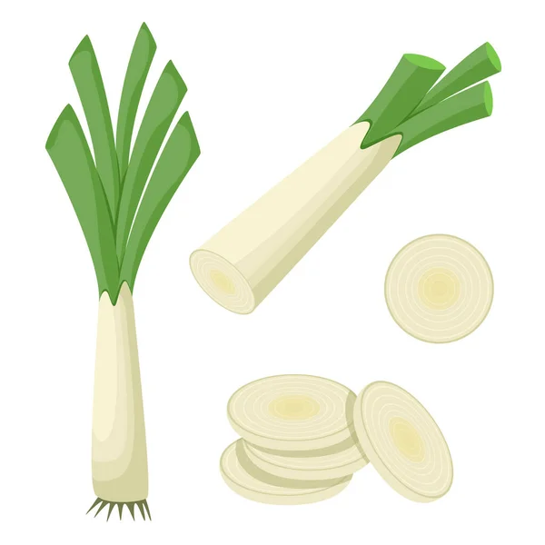 Leek Whole Cut Isolated White Background Flat Style — Stockový vektor