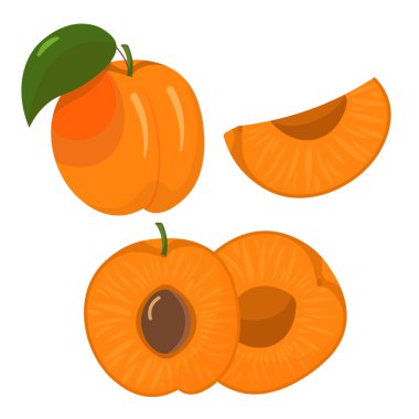 Apricot whole and cut isolated on white background. flat style.