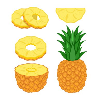 Pineapple set. Pineapple half, slices and whole fruit isolated on white background. flat style.