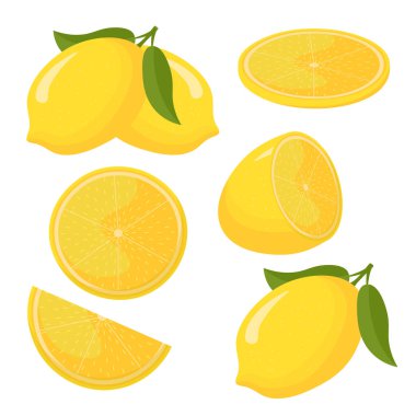 Lemon whole and cut isolated on white background. flat style.
