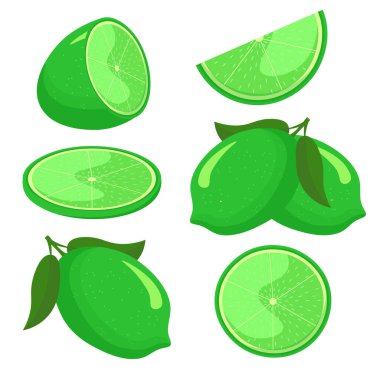 Lime whole and cut isolated on white background. flat style.