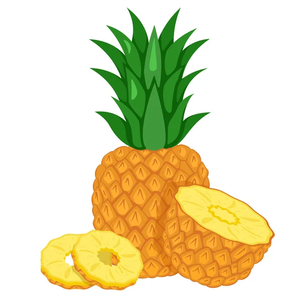 Pineapple Whole Cut Half Flat Style — Stok Vektör