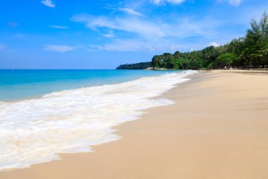 Manzara manzarası kumlu sahil yaz tatili Phuket Tayland 