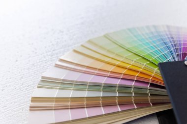 Beyaz arkaplan ve pastel ton detaylarında kılavuz renk çizelgesi çarkı