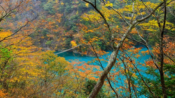 landscape view autumn leaves and rainy season and emerald water in the middle of the valley in japan