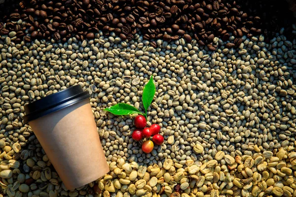 Papierowe Kubki Kawy Czerwony Zielonymi Liśćmi Sherry Kawy Suszone Ziarna — Zdjęcie stockowe