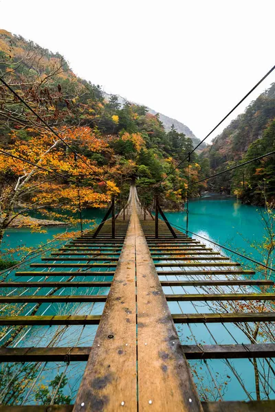 Belle Suspension Pont Bois Paysage Sur Rivière Verte Forêt Naturelle — Photo